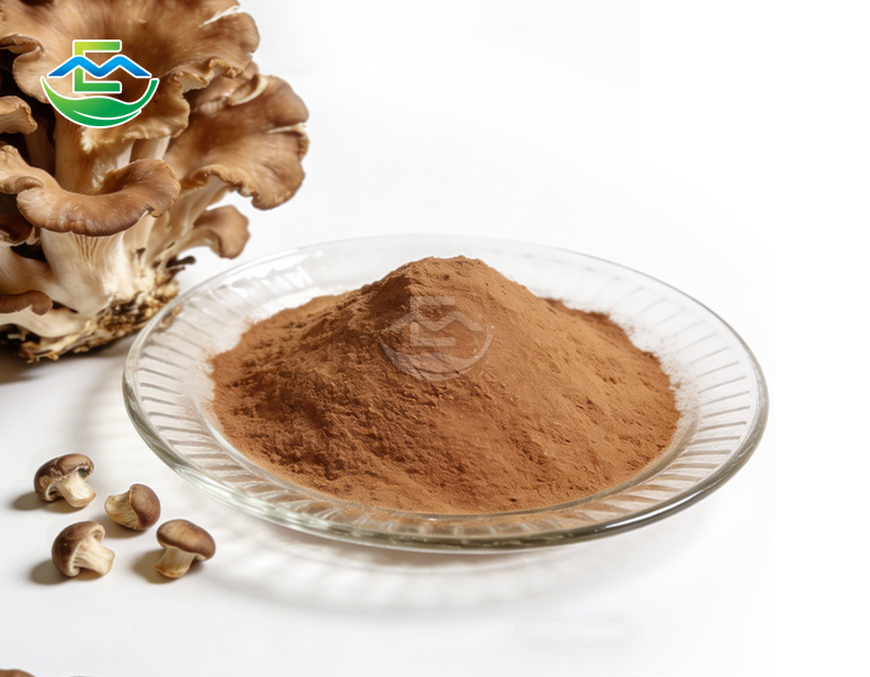 Maitake Extrtact Polysaccharides Beta Glucan